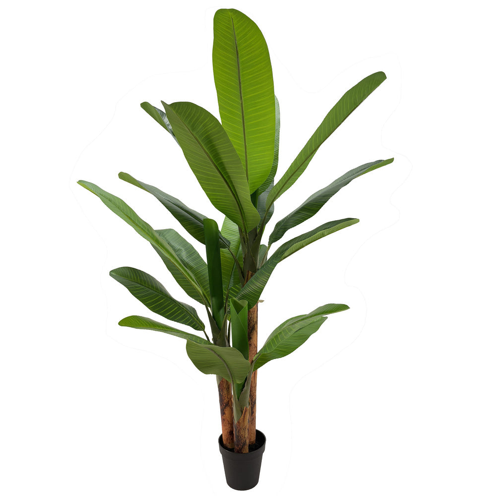 Kunstboom Bananenboom 200 cm – Real Touch