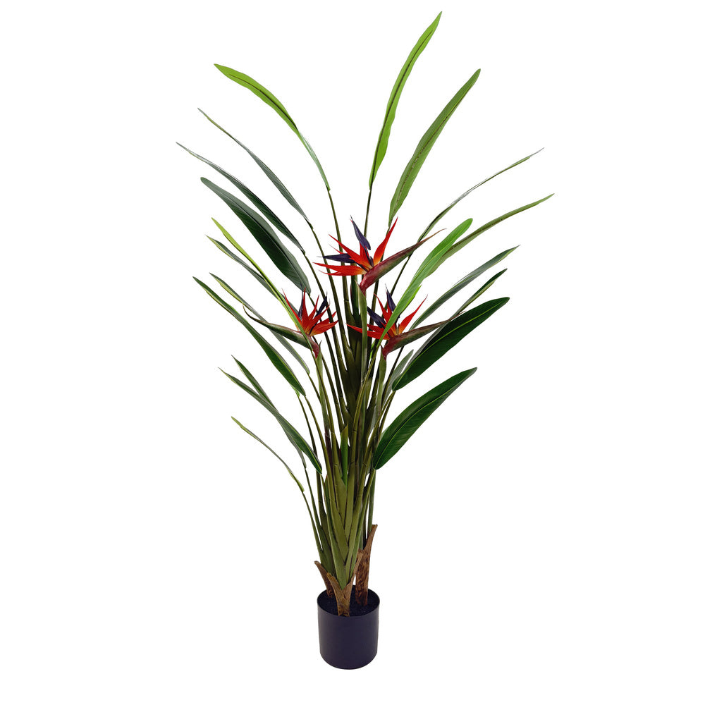 Kunstplant Strelitzia 160 cm – Real Touch