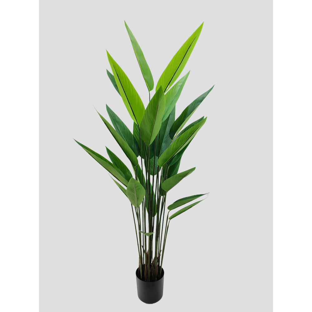 Kunstplant Strelitzia 175 cm – Real Touch