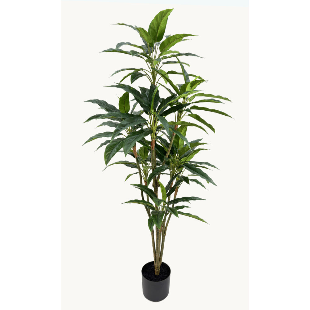 Kunstplant Rohdea 145 cm – Real Touch