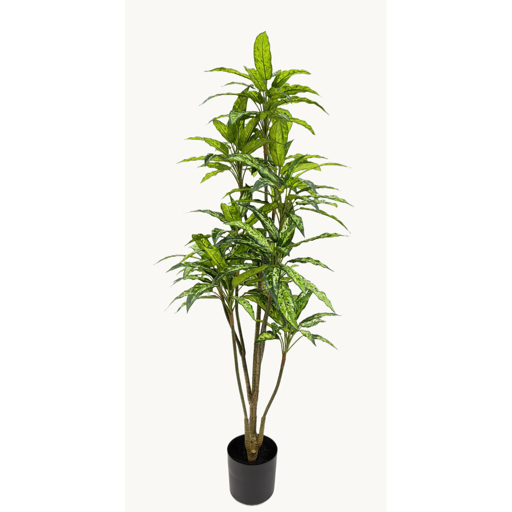 Kunstplant Dieffenbachia 160 cm – Real Touch