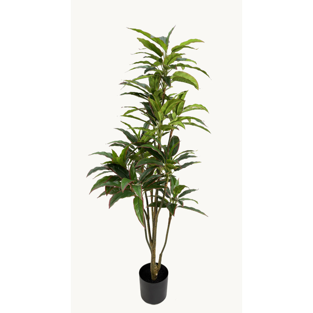 Kunstplant Rohdea 160 cm – Real Touch