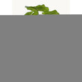 Kunstplant Philodendron 165 cm – Real Touch