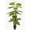 Kunstplant Philodendron 210 cm – Real Touch