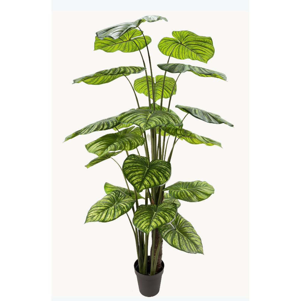 Kunstplant Philodendron 210 cm – Real Touch