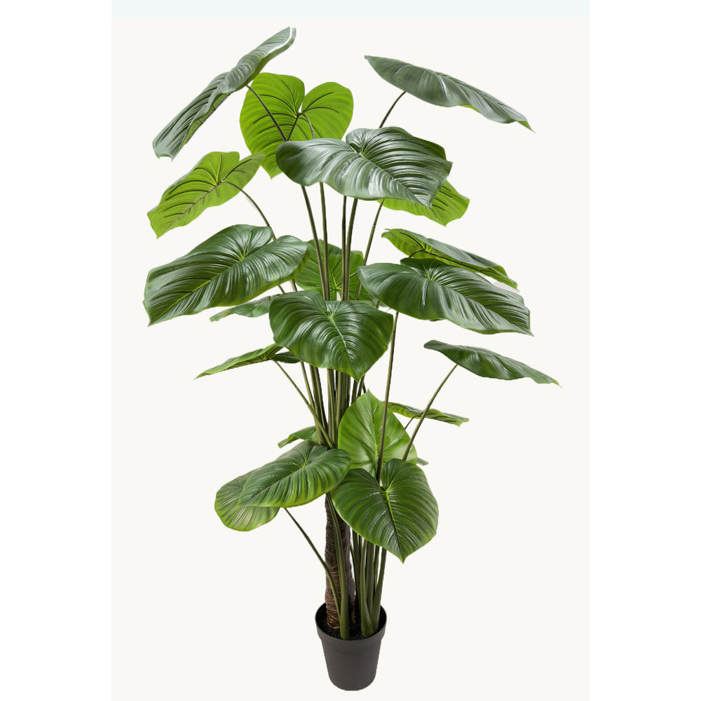 Kunstplant Philodendron 210 cm – Real Touch