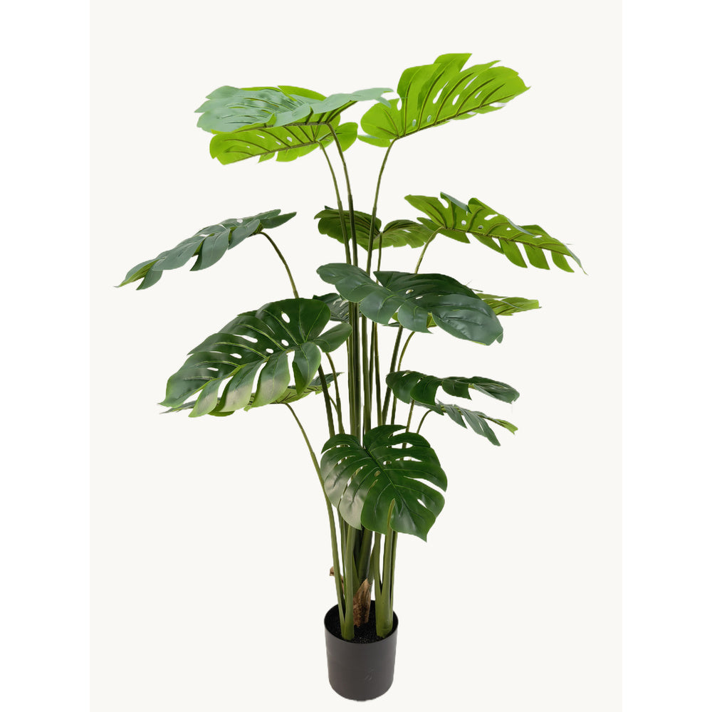 Kunstplant Monstera 160 cm – Real Touch