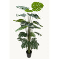 Kunstplant Monstera 215 cm – Real Touch