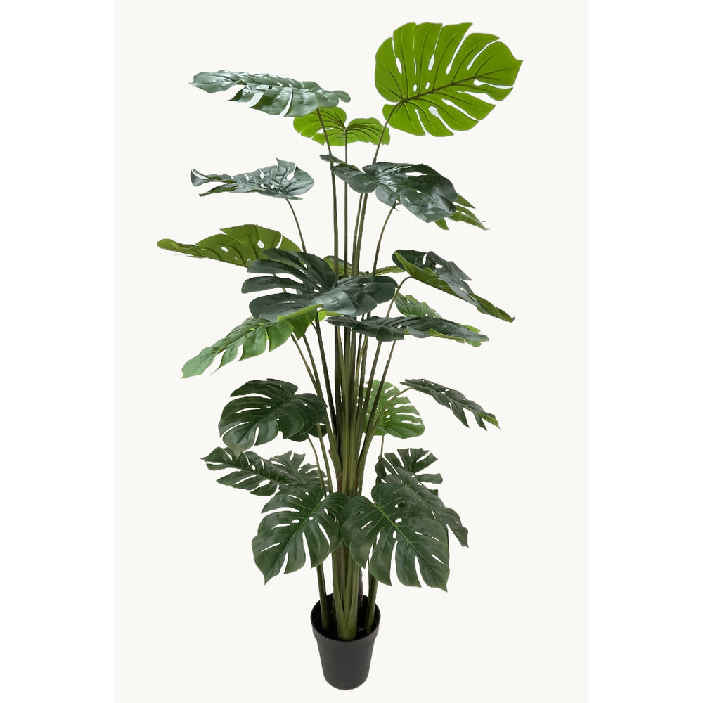 Kunstplant Monstera 215 cm – Real Touch