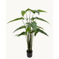Kunstplant Alocasia 175 cm – Real Touch
