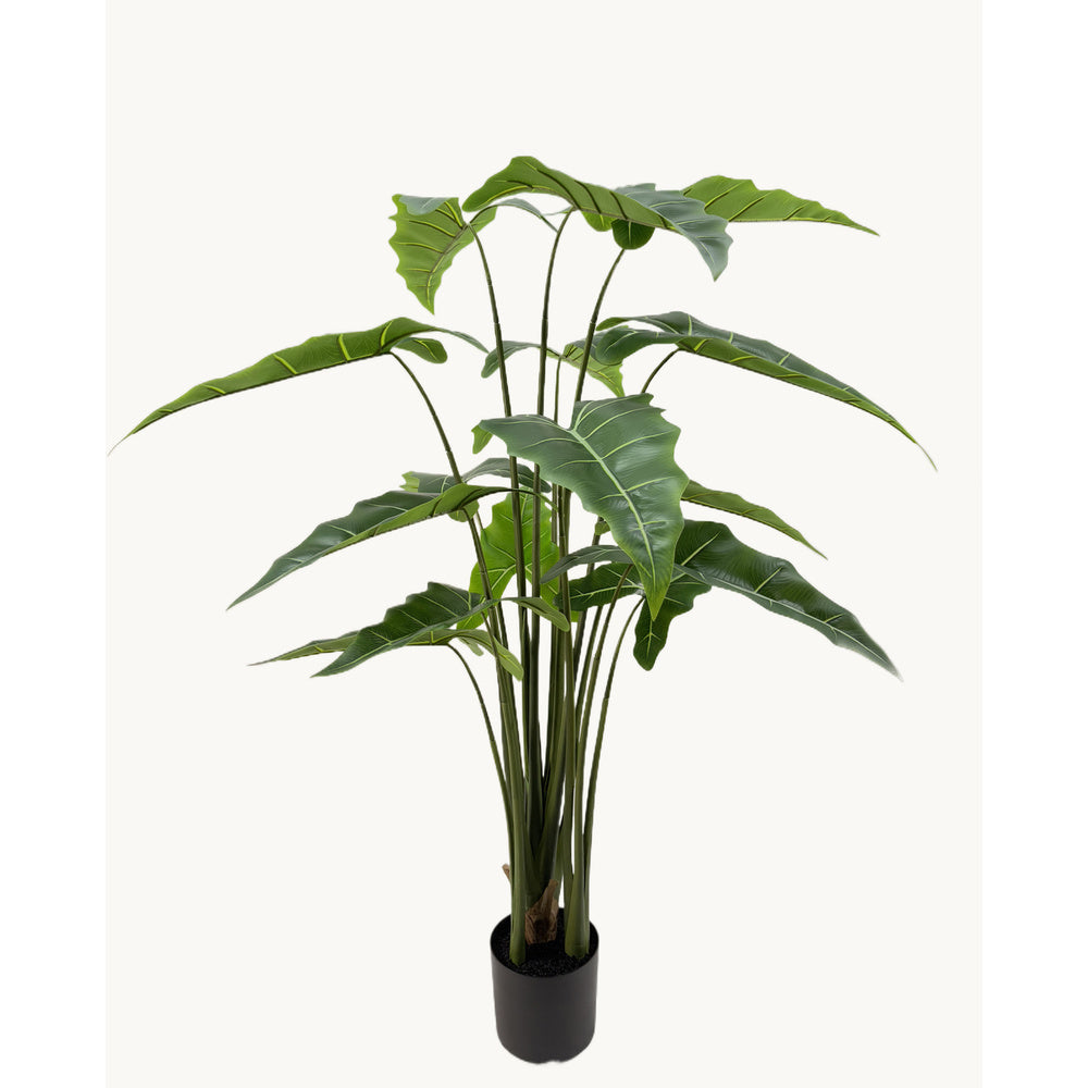 Kunstplant Alocasia 175 cm – Real Touch