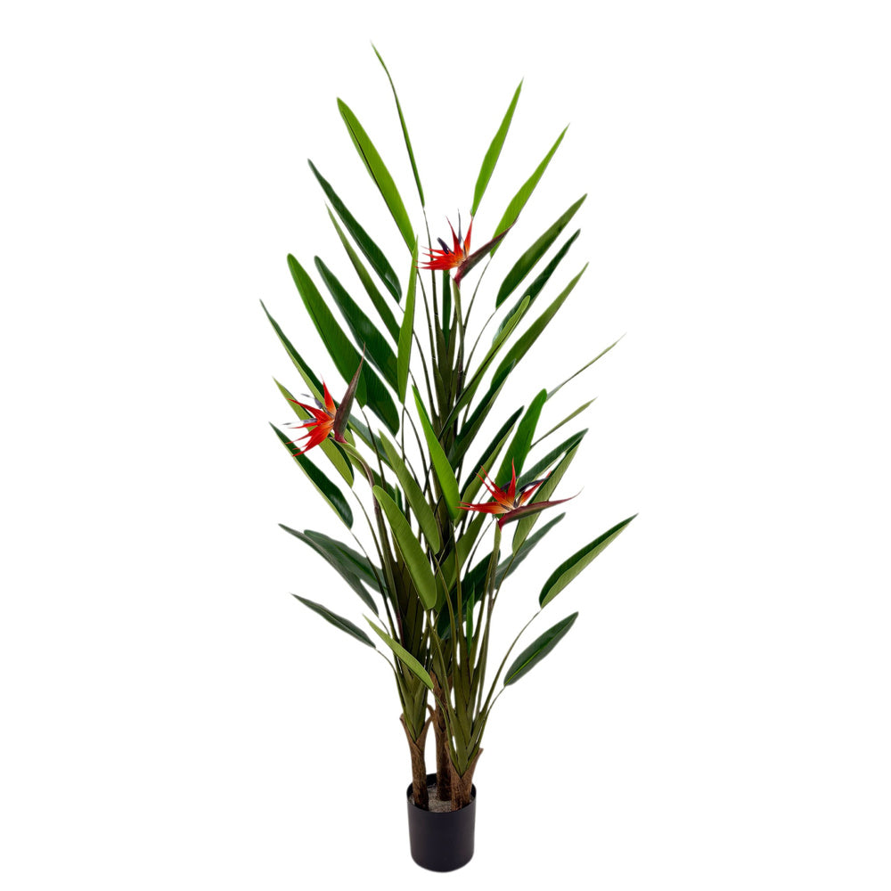 Kunstplant Strelitzia 210 cm – Real Touch