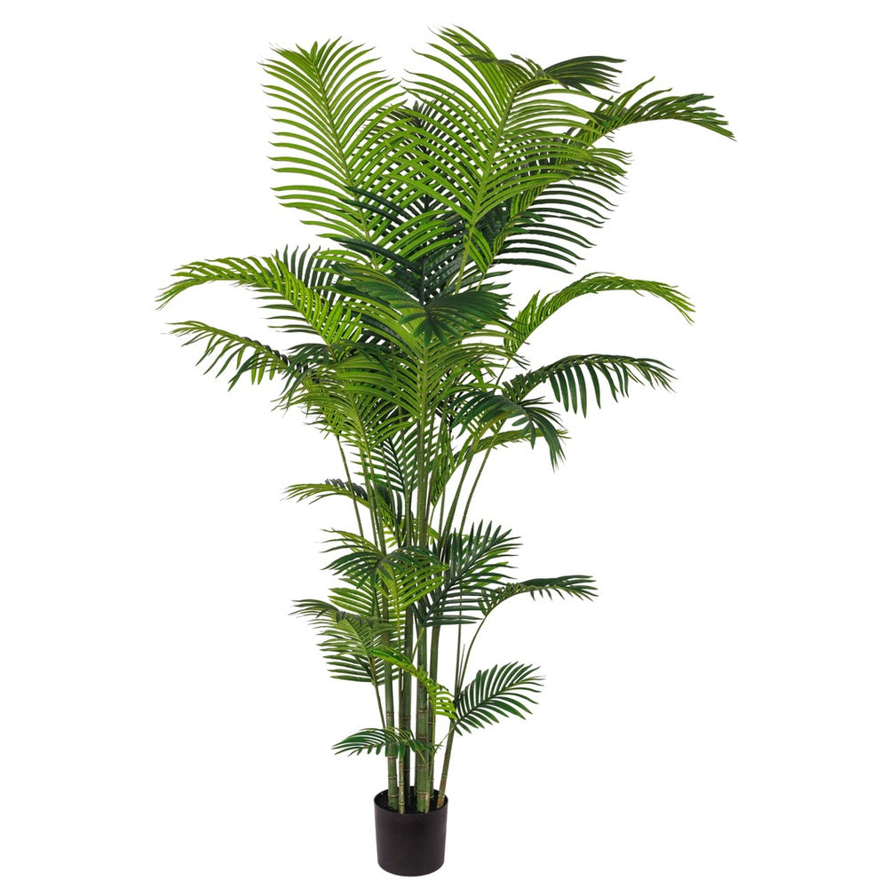Kunstboom Palmboom 240 cm – Real Touch