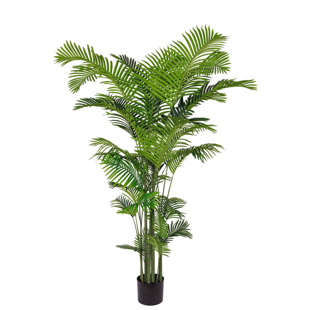 Kunstboom Palmboom 260 cm – Real Touch