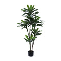 Kunstplant Dracaena 200 cm – Real Touch