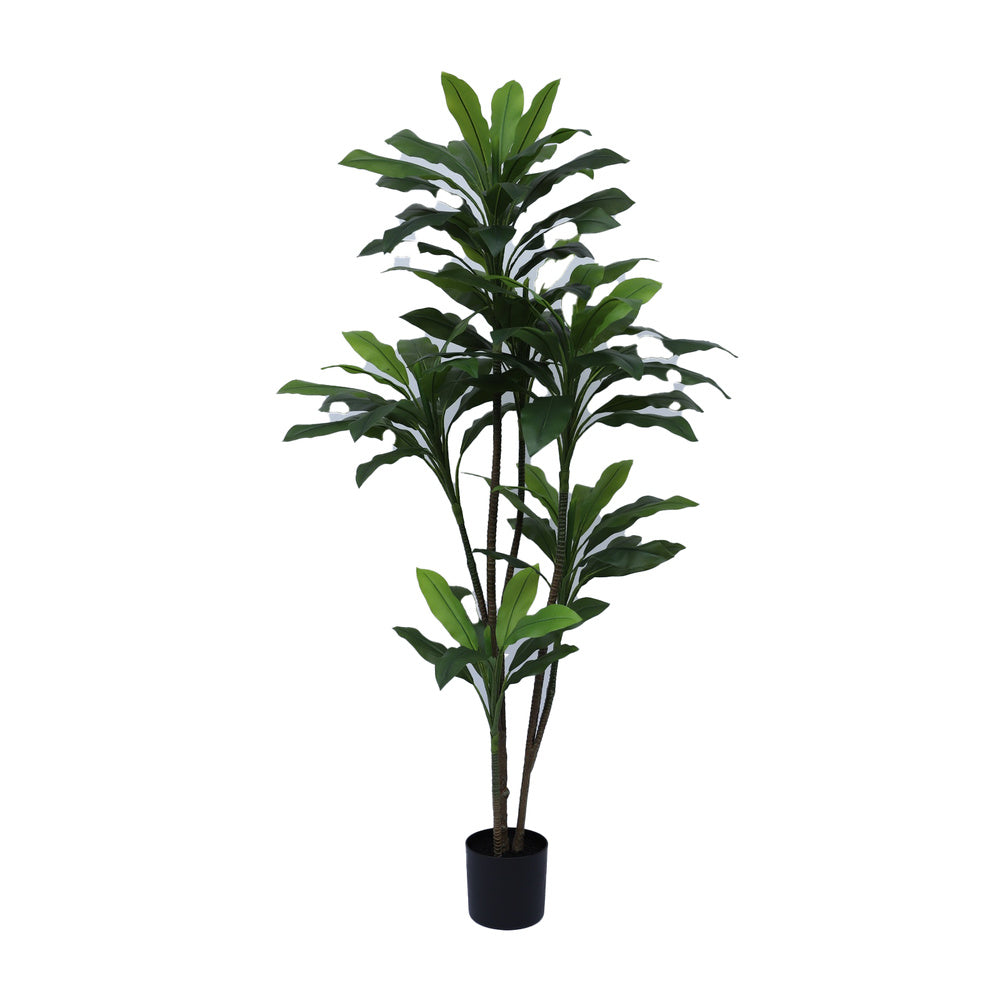 Kunstplant Dracaena 200 cm – Real Touch