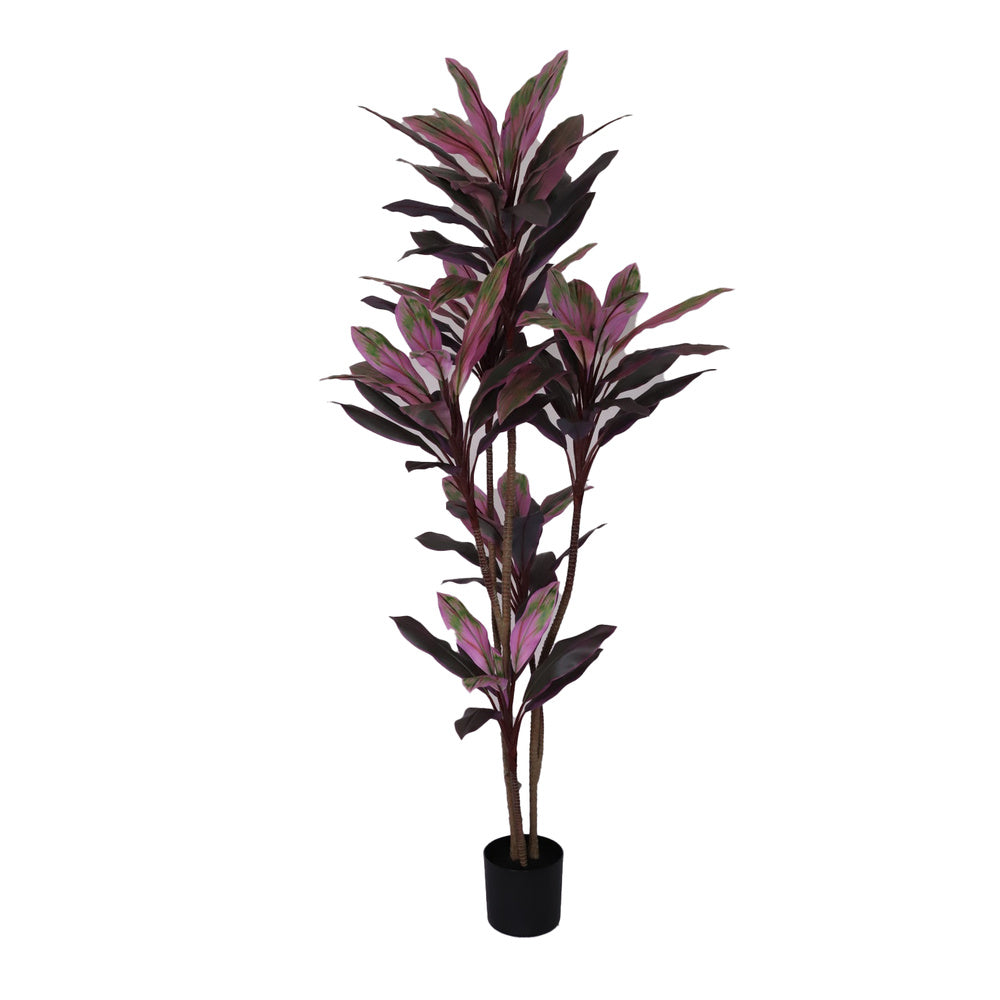Kunstplant Dracaena 200 cm – Real Touch