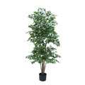 Kunstplant Ficus 210 cm – Real Touch
