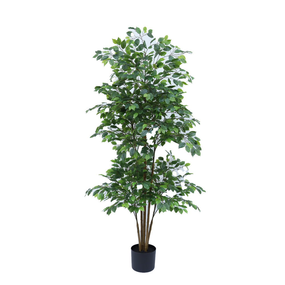 Kunstplant Ficus 210 cm – Real Touch