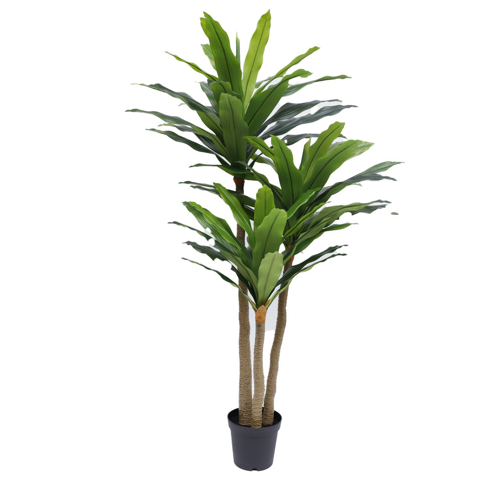 Kunstplant Dracaena 190 cm – Real Touch