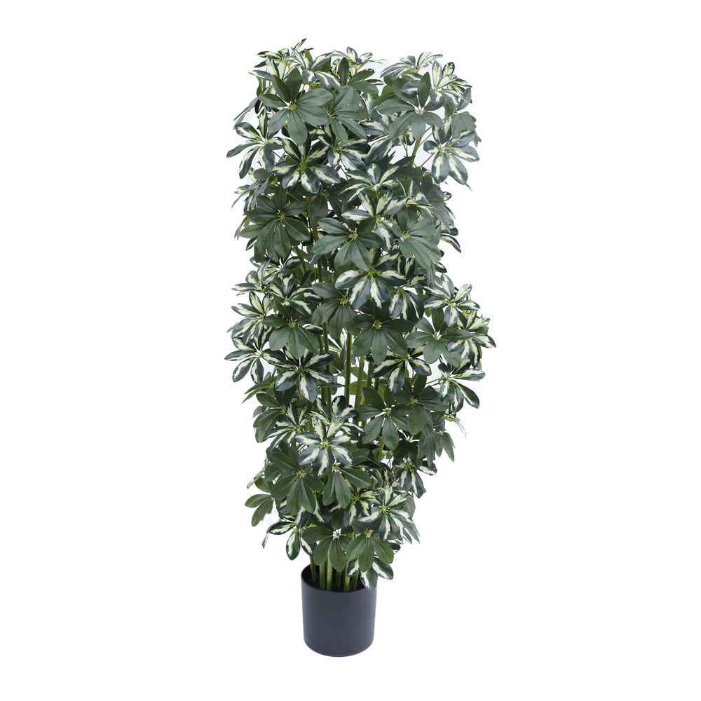Kunstplant Schefflera 140 cm – Real Touch