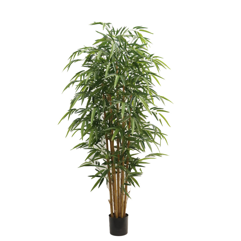 Kunstplant Bamboe 180 cm – Real Touch