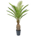 Kunstboom Palmboom 150 cm