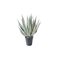 Kunstplant Agave 95 cm – Soft Touch
